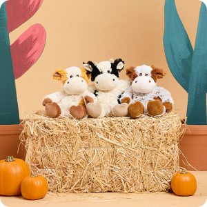Pumpkin Spice Cow Warmies